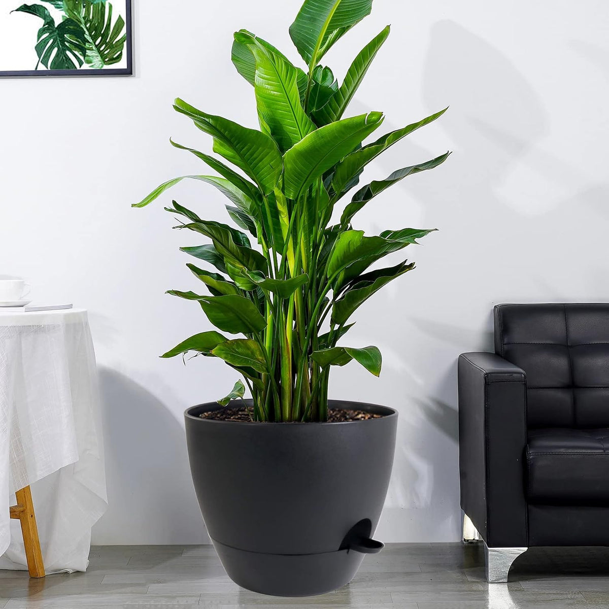 UOUZ Self-Watering Pots, 12 in, Black