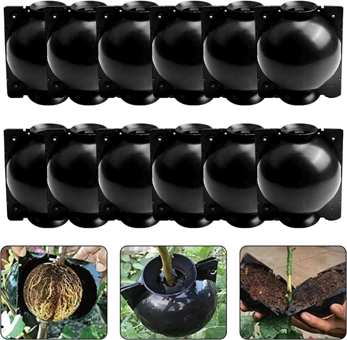 Plant Root Growing Boxes, 12 Pack