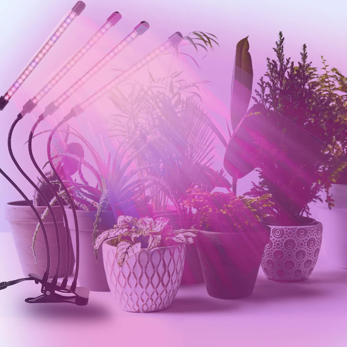 Dimmable LED Grow Light with Timer