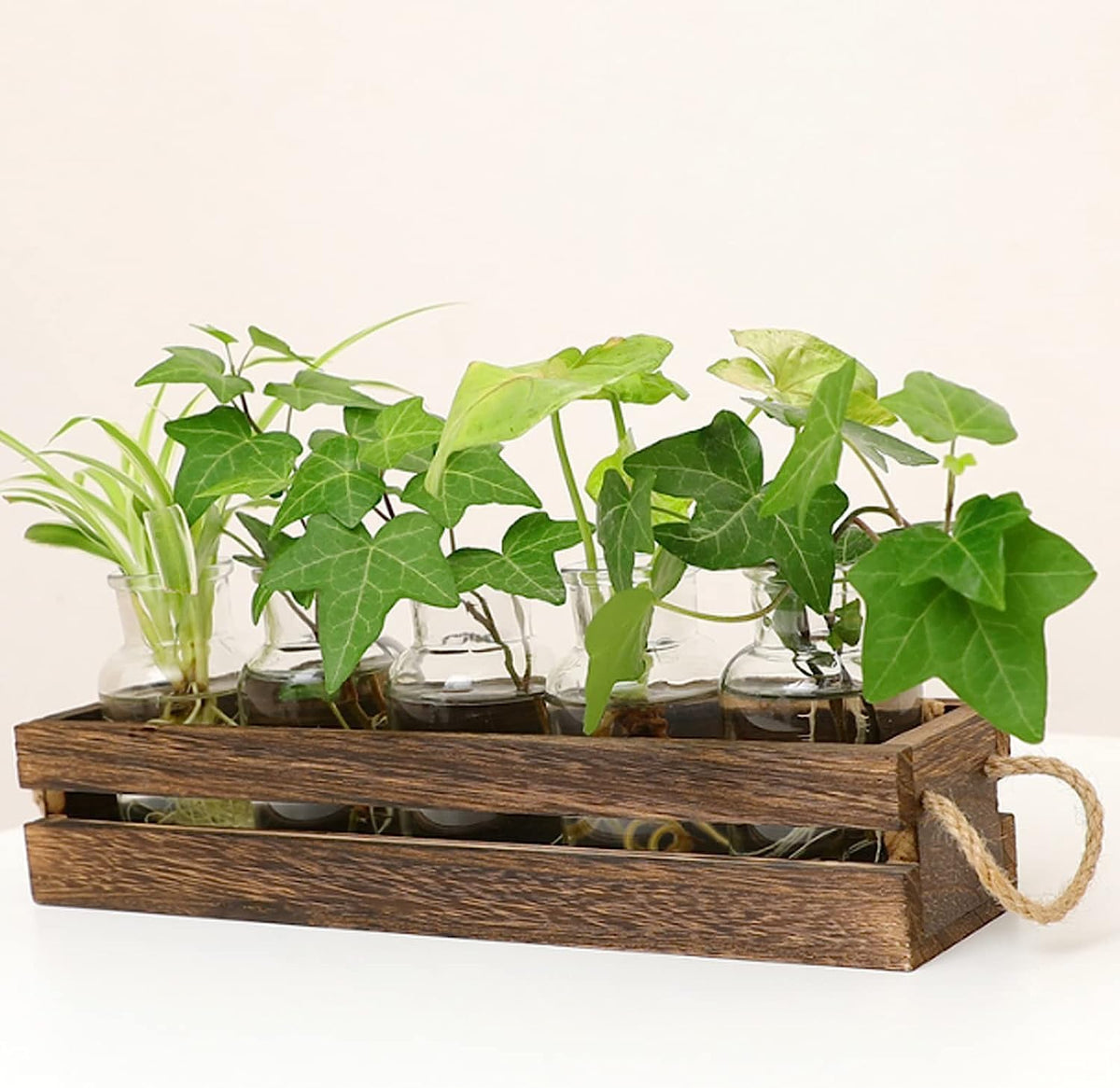 Desktop Propagation Station