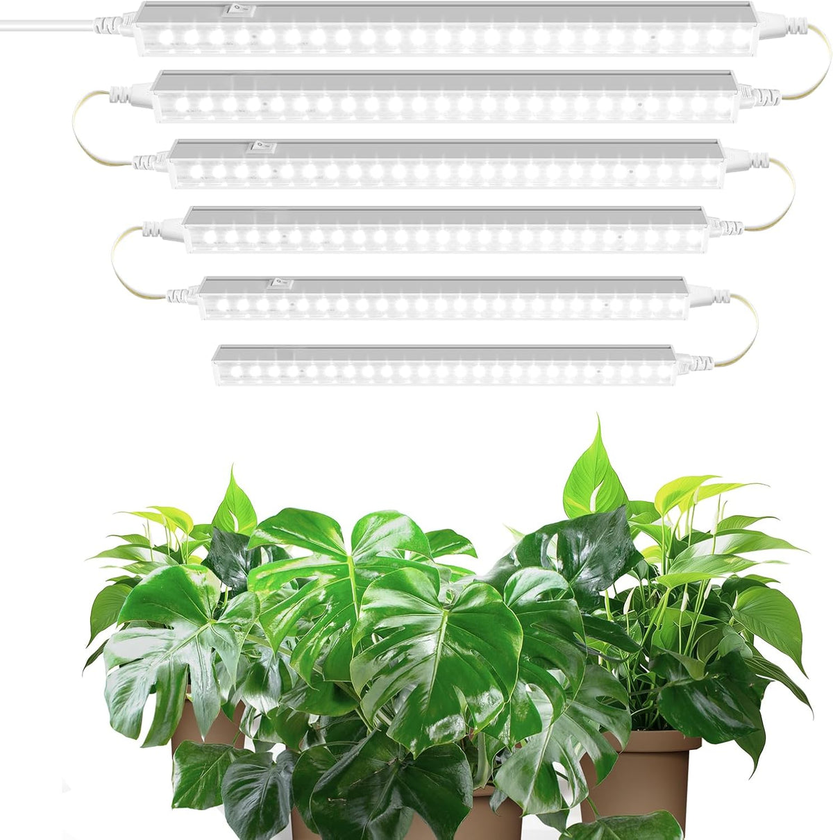 Barrina T5 Grow Lights, 1 ft, 6 Pack