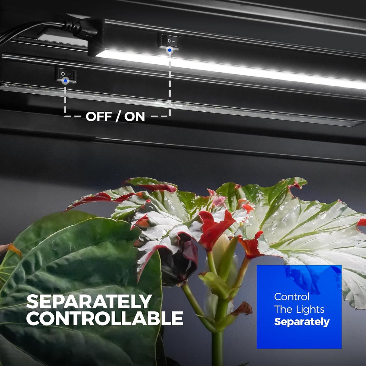 Barrina T5 Grow Lights, 2 ft, 6 Pack