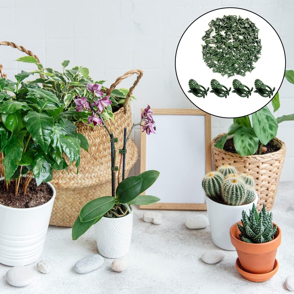 Green Orchid Support Clips, 100 Pack