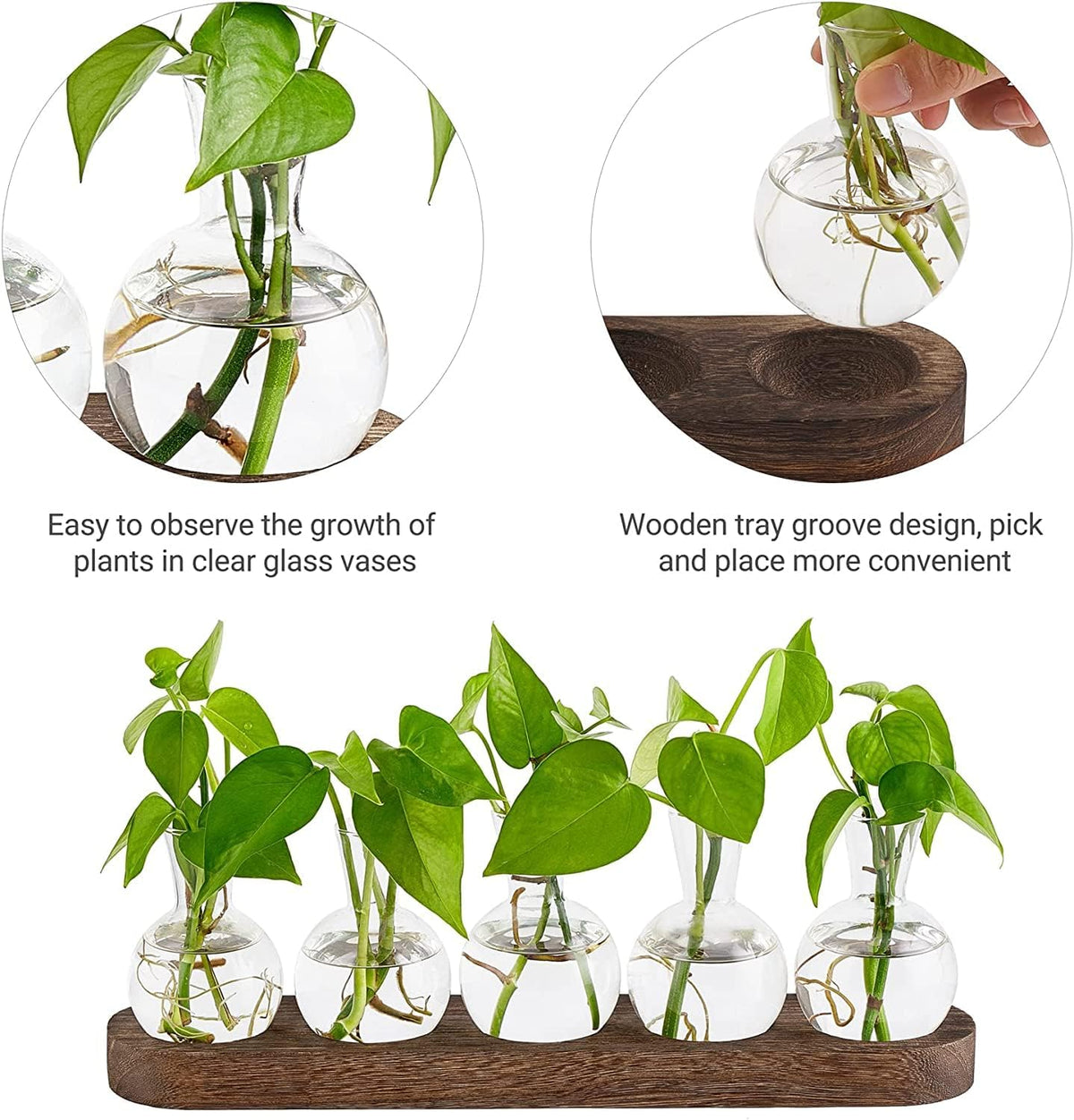 Desktop Propagation Station