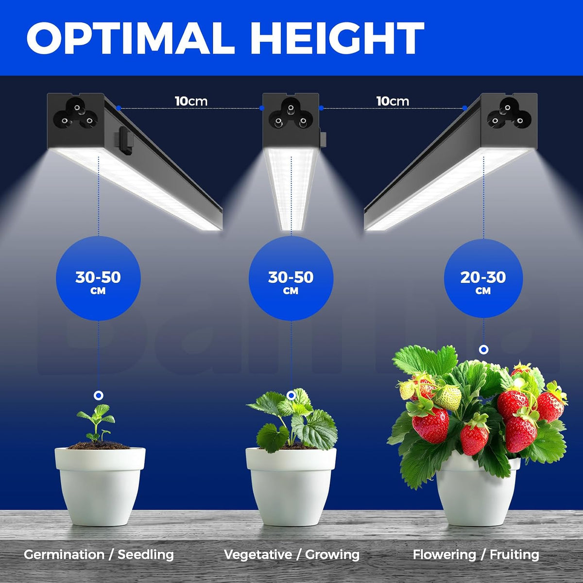 Barrina T5 Grow Lights, 2 ft, 6 Pack
