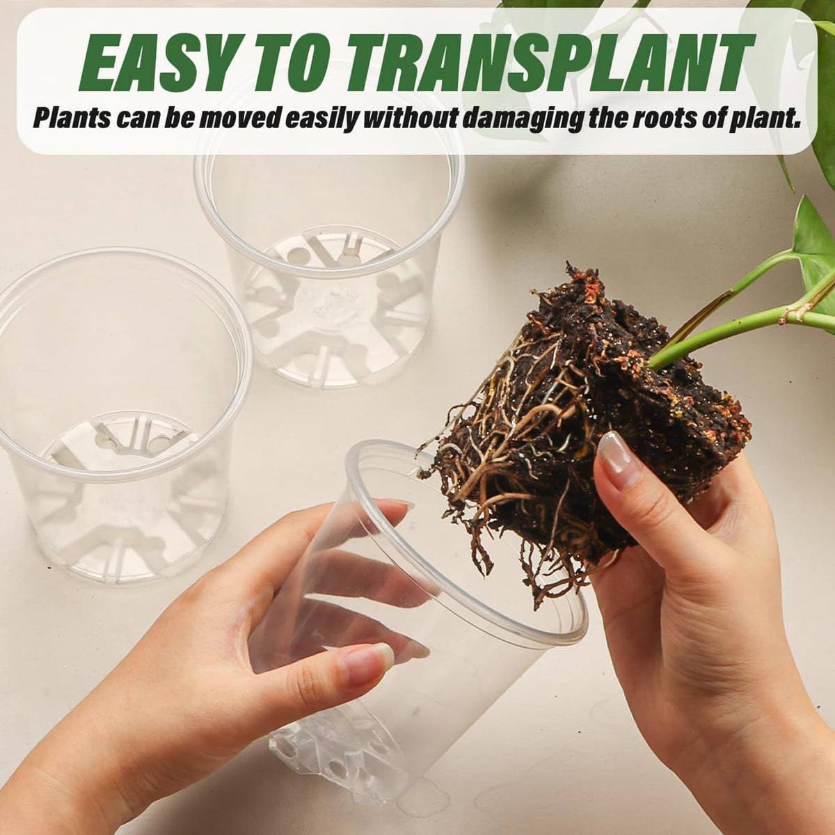Plastic Nursery Pots, 100 Pack, 4 in