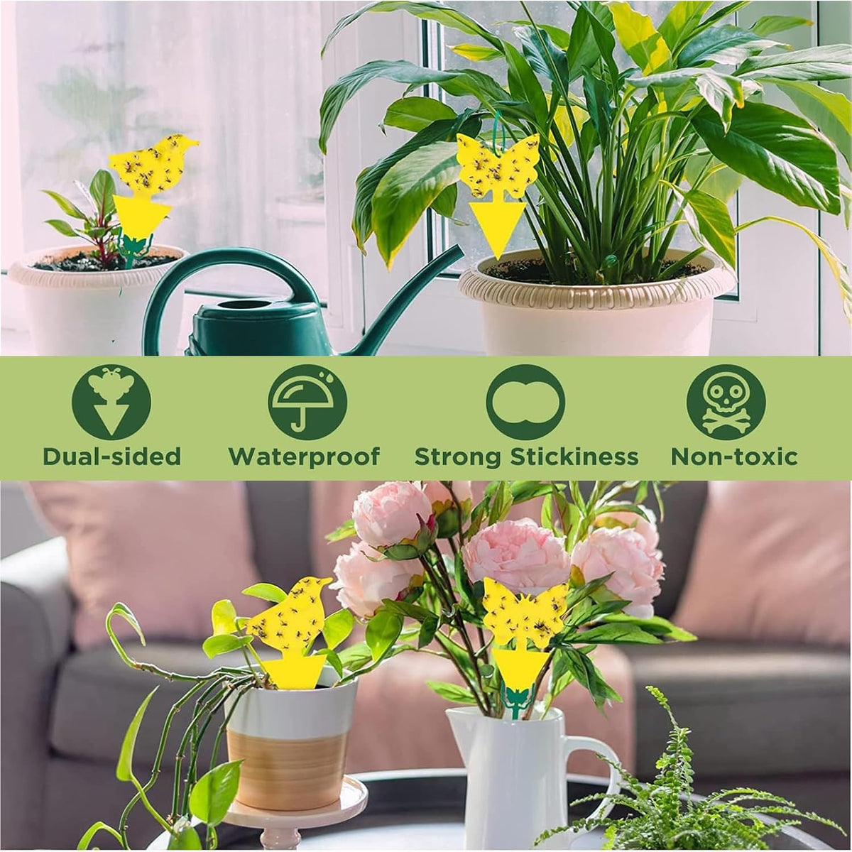 Aieve Yellow Sticky Insect Traps, 60 Pack