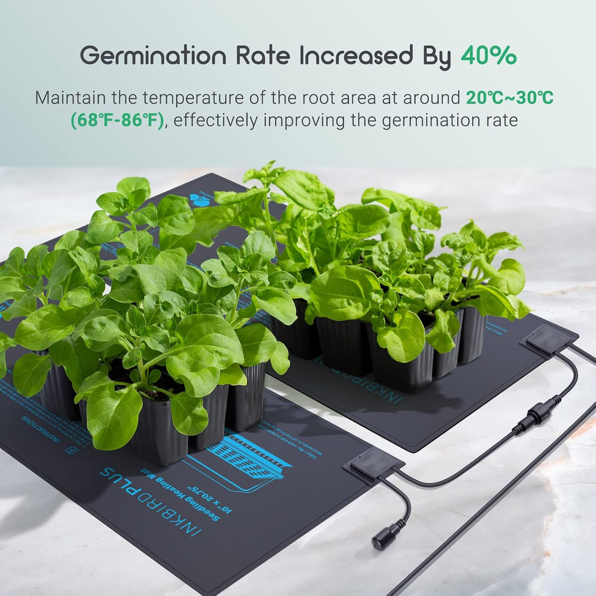 INKBIRDPLUS Seedling Heat Mat with Thermostat
