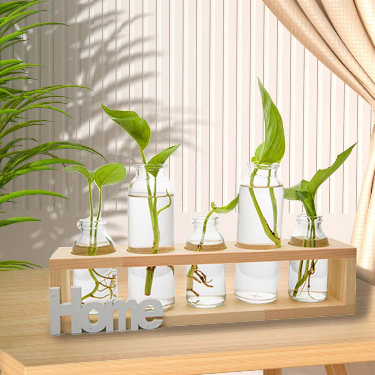 Desktop Propagation Station
