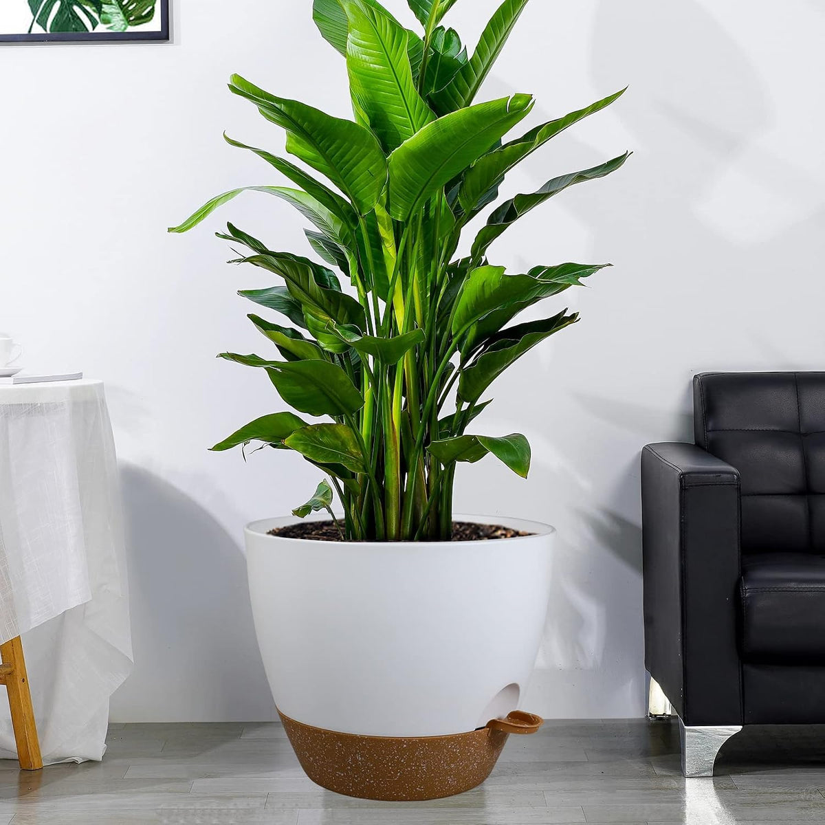 UOUZ Self-Watering Pots, 12 in, Black