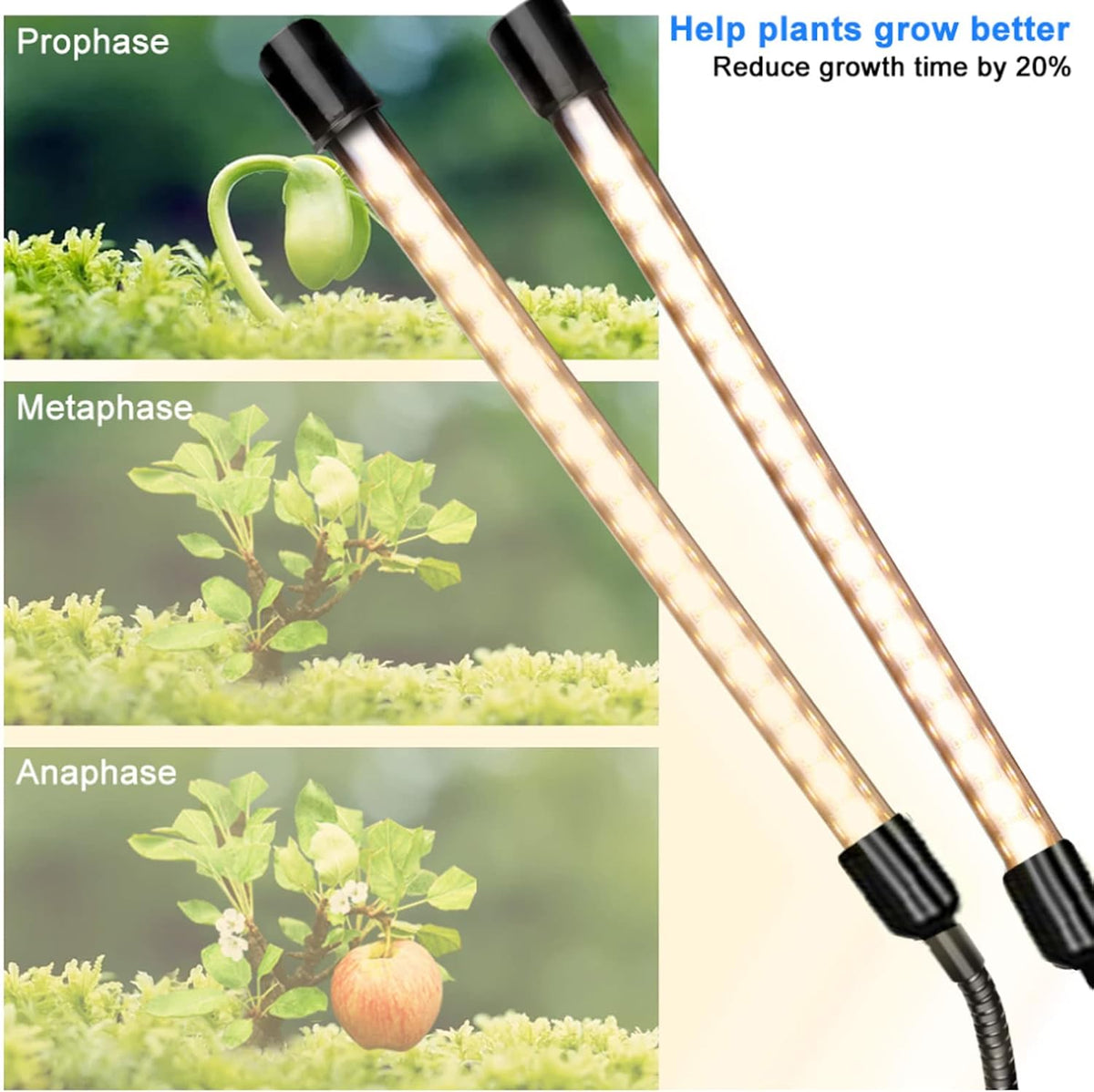 Dimmable LED Grow Light with Timer