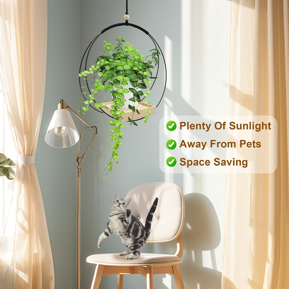 Hanging Plant Holders, 2 Pack