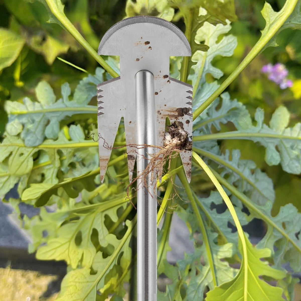 Stainless Steel Hand Weeder with Rubber Handle