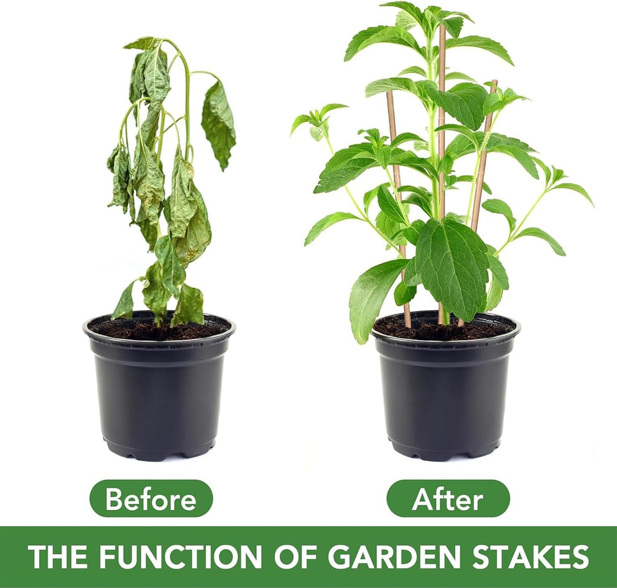 Bamboo Plant Stakes with Twist Ties, 20 Pack, 45 cm