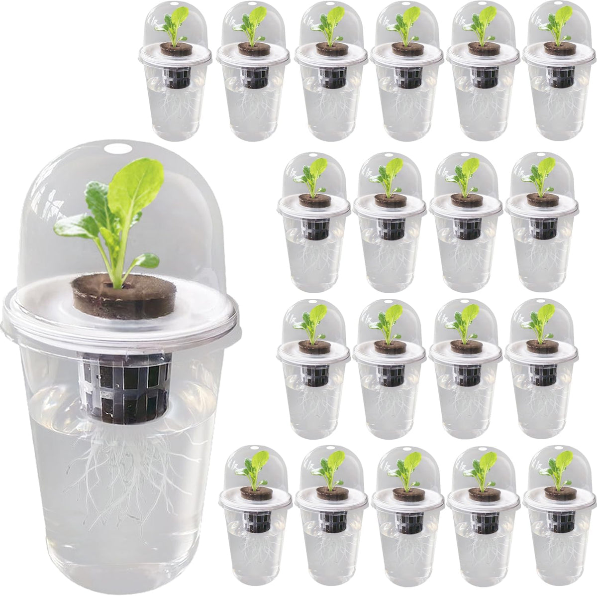 Hydroponic Seedling Pots, 20 Sets