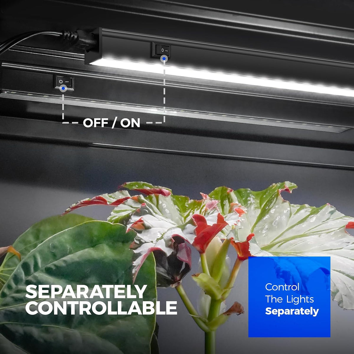 Barrina T5 Grow Lights, 2 ft, 6 Pack
