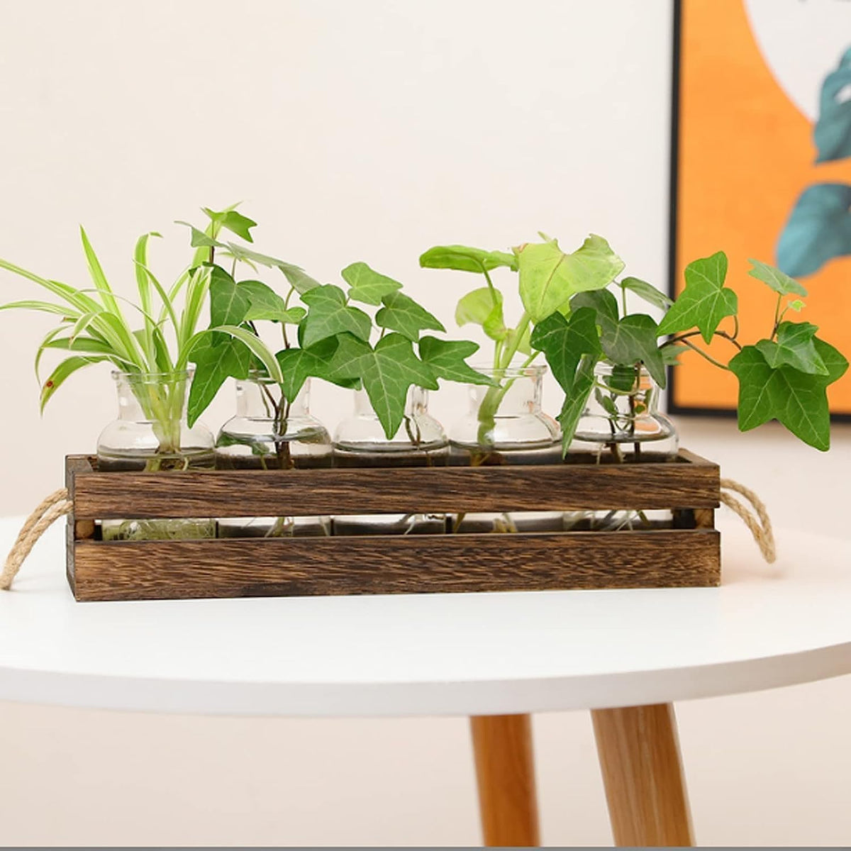 Desktop Propagation Station