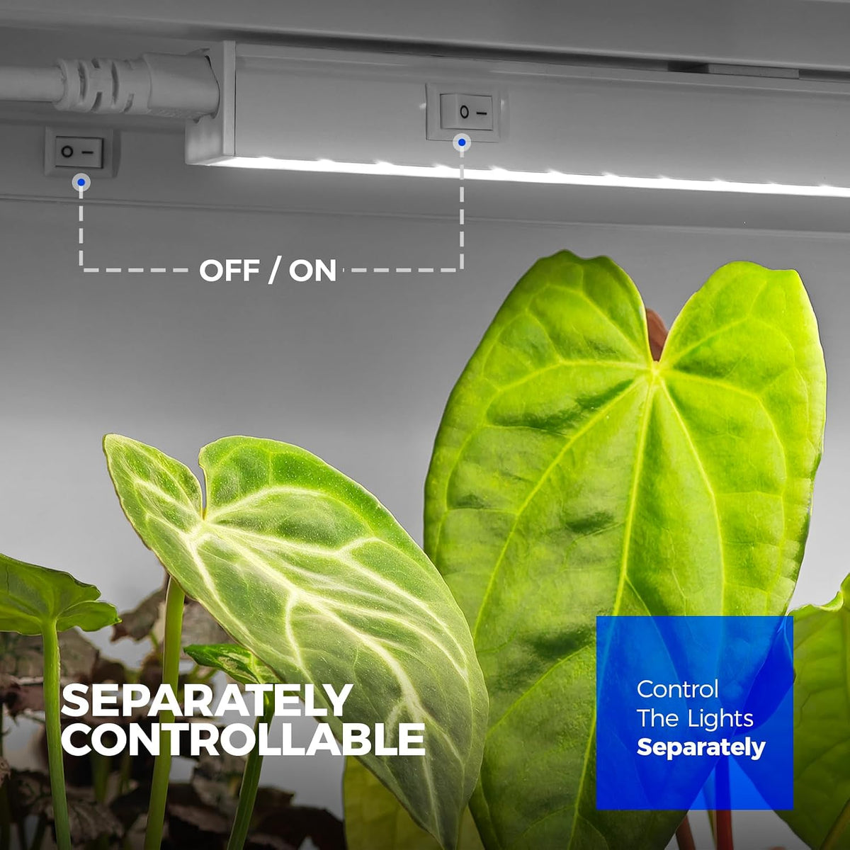 Barrina T5 Grow Lights, 1 ft, 6 Pack