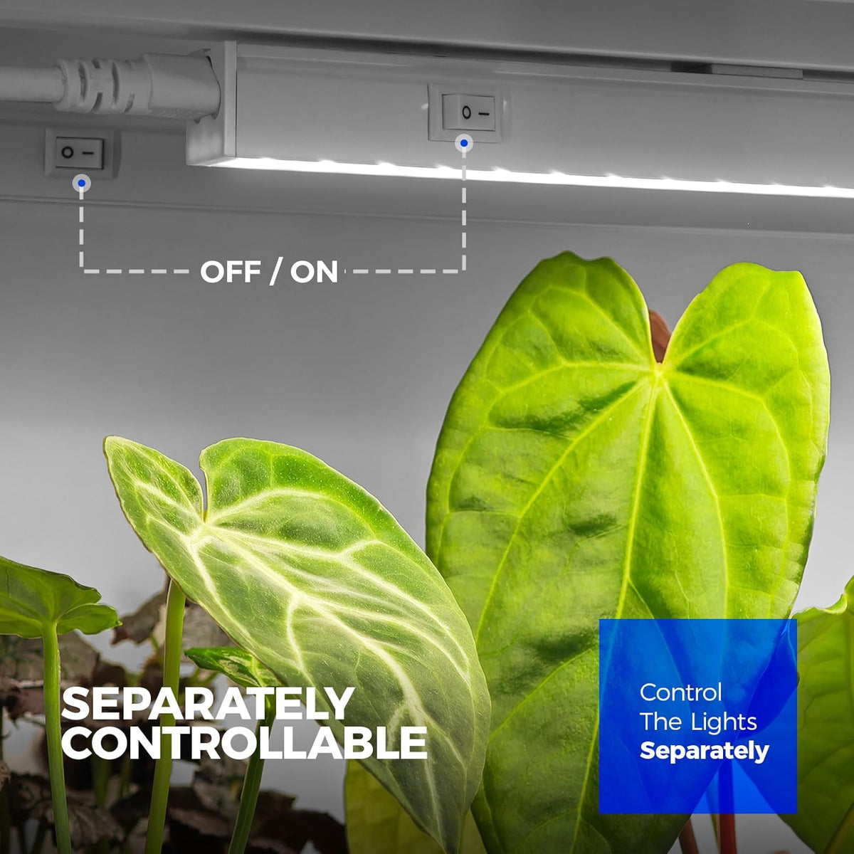 Barrina T5 Grow Lights, 1 ft, 6 Pack