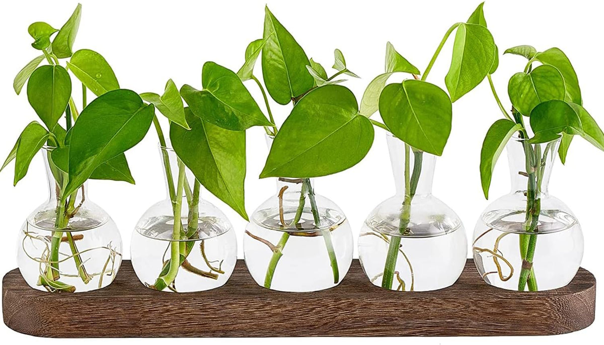 Desktop Propagation Station