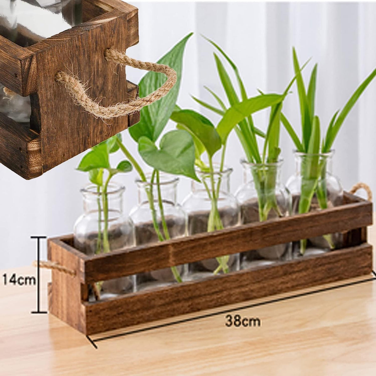 Desktop Propagation Station