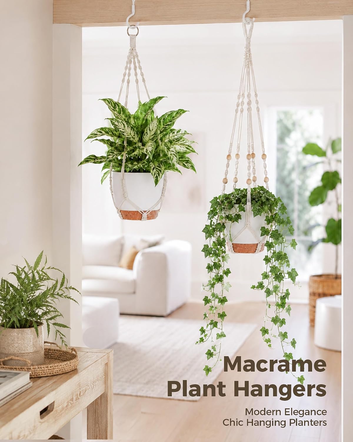 Bamworld Macrame Plant Hangers, 3 Pack