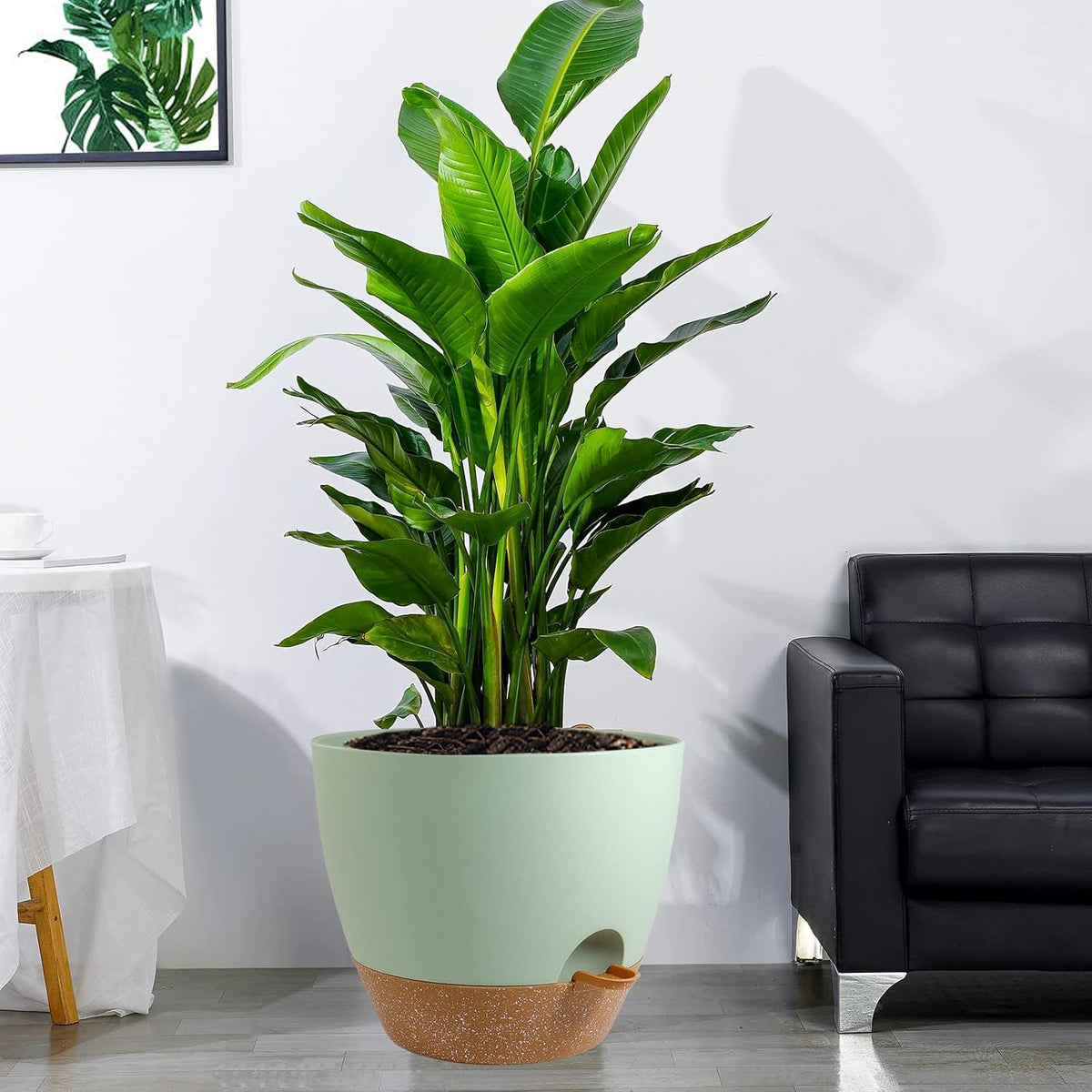 UOUZ Self-Watering Pots, 12 in, Black