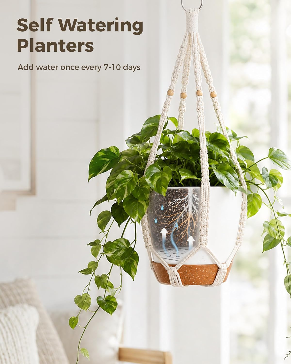 Bamworld Macrame Plant Hangers, 3 Pack