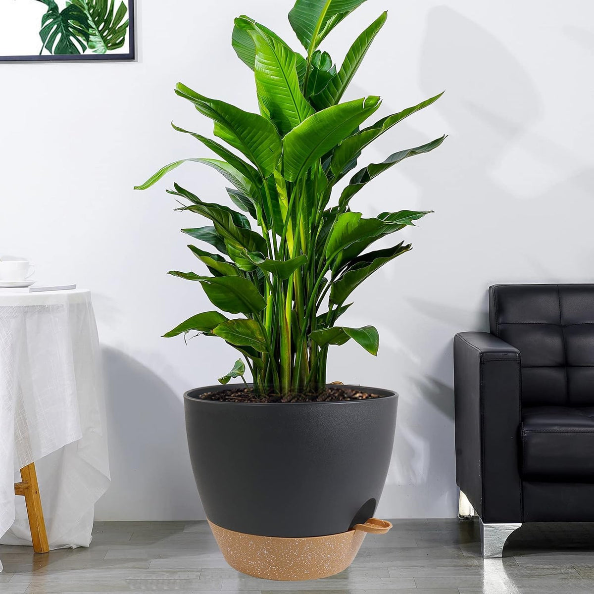 UOUZ Self-Watering Pots, 12 in, Black