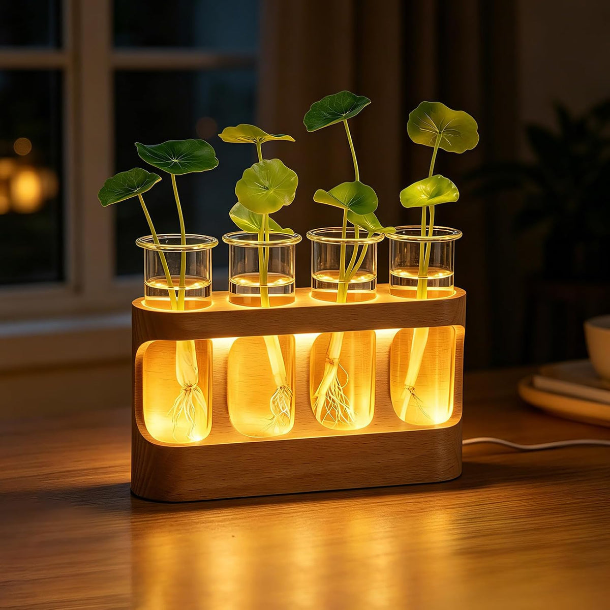 Desktop Propagation Station