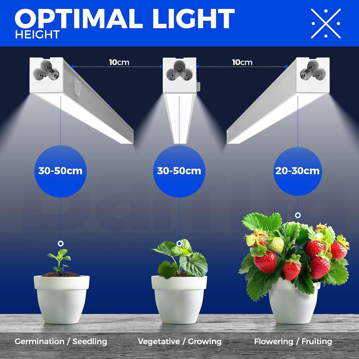 Barrina T5 Grow Lights, 1 ft, 6 Pack