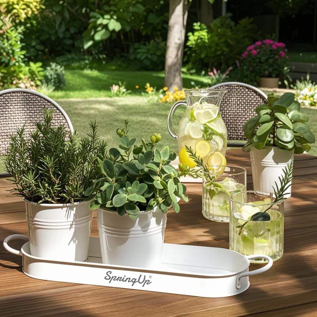 Indoor Herb Garden Planter Set, 3 Pack
