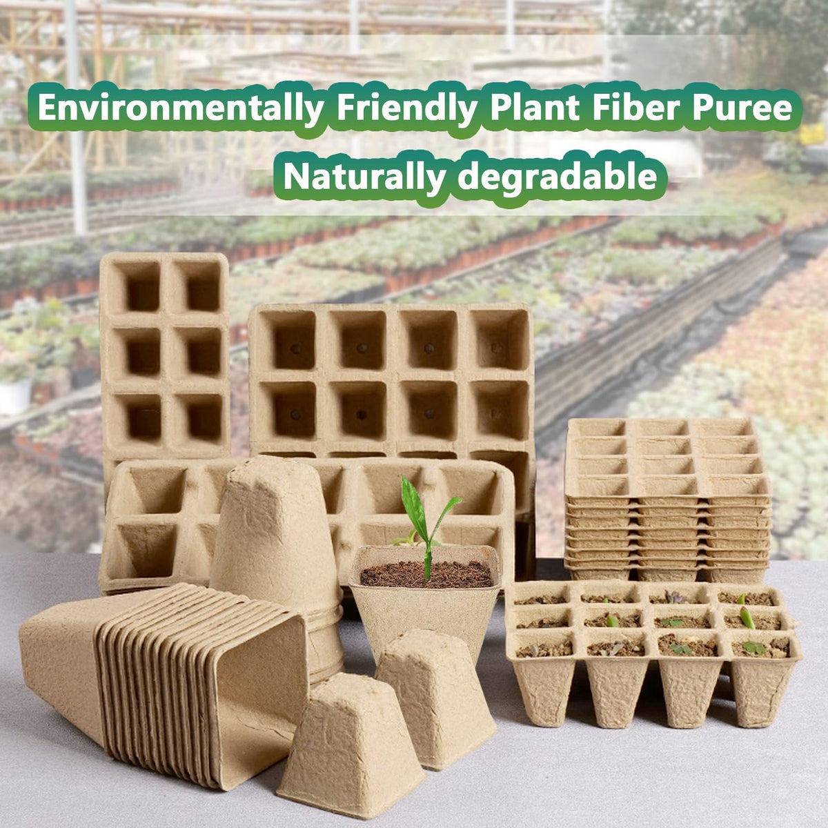 Seed Starter Trays, 20 Pack, 240 Cells