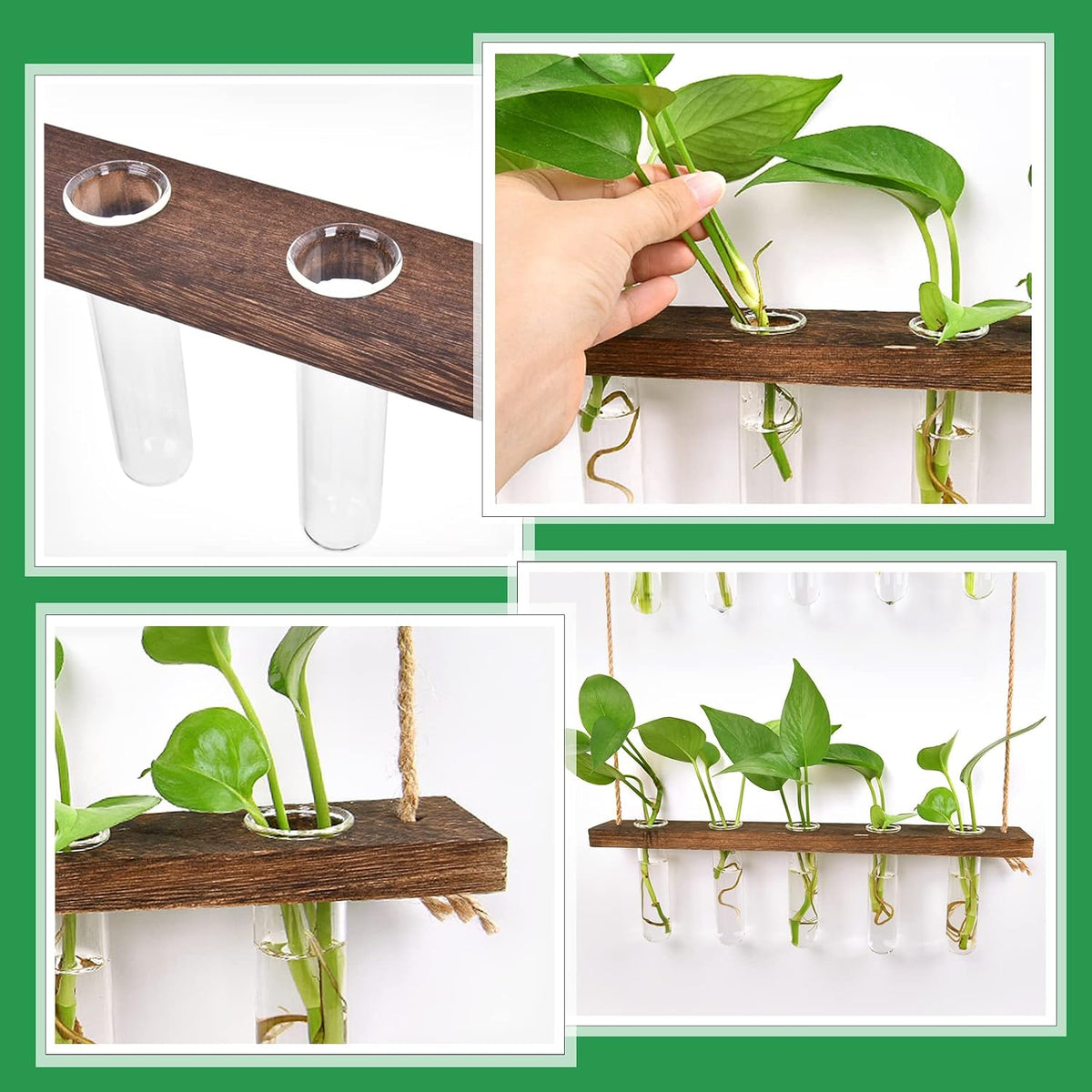 EVEAGE Wall-Hanging Propagation Station, 16 Tubes