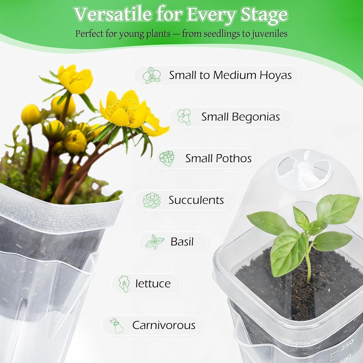 Self-Watering Propagation Pots, 12 Pack, 2.5 in