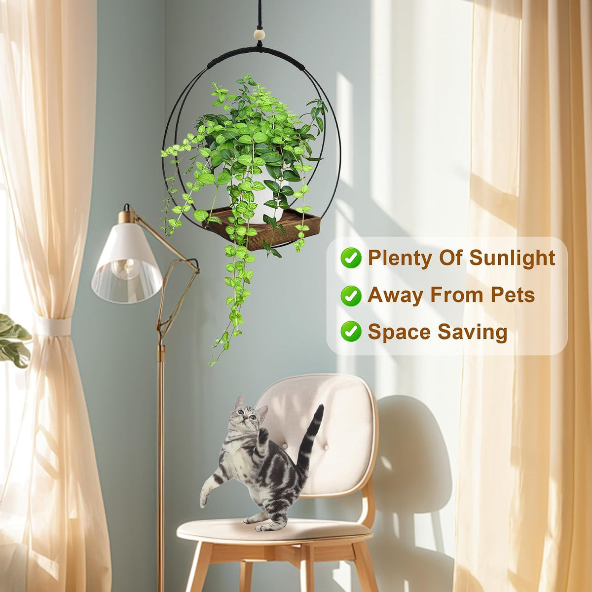 Hanging Plant Holders, 2 Pack