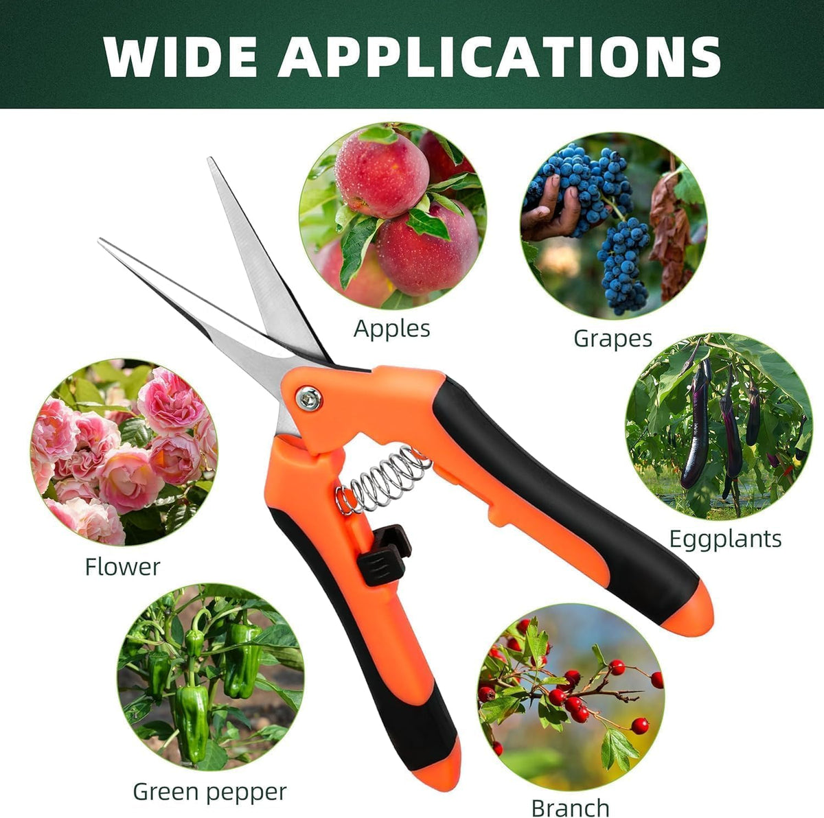 Stainless Steel Pruning Shears, 3 Piece