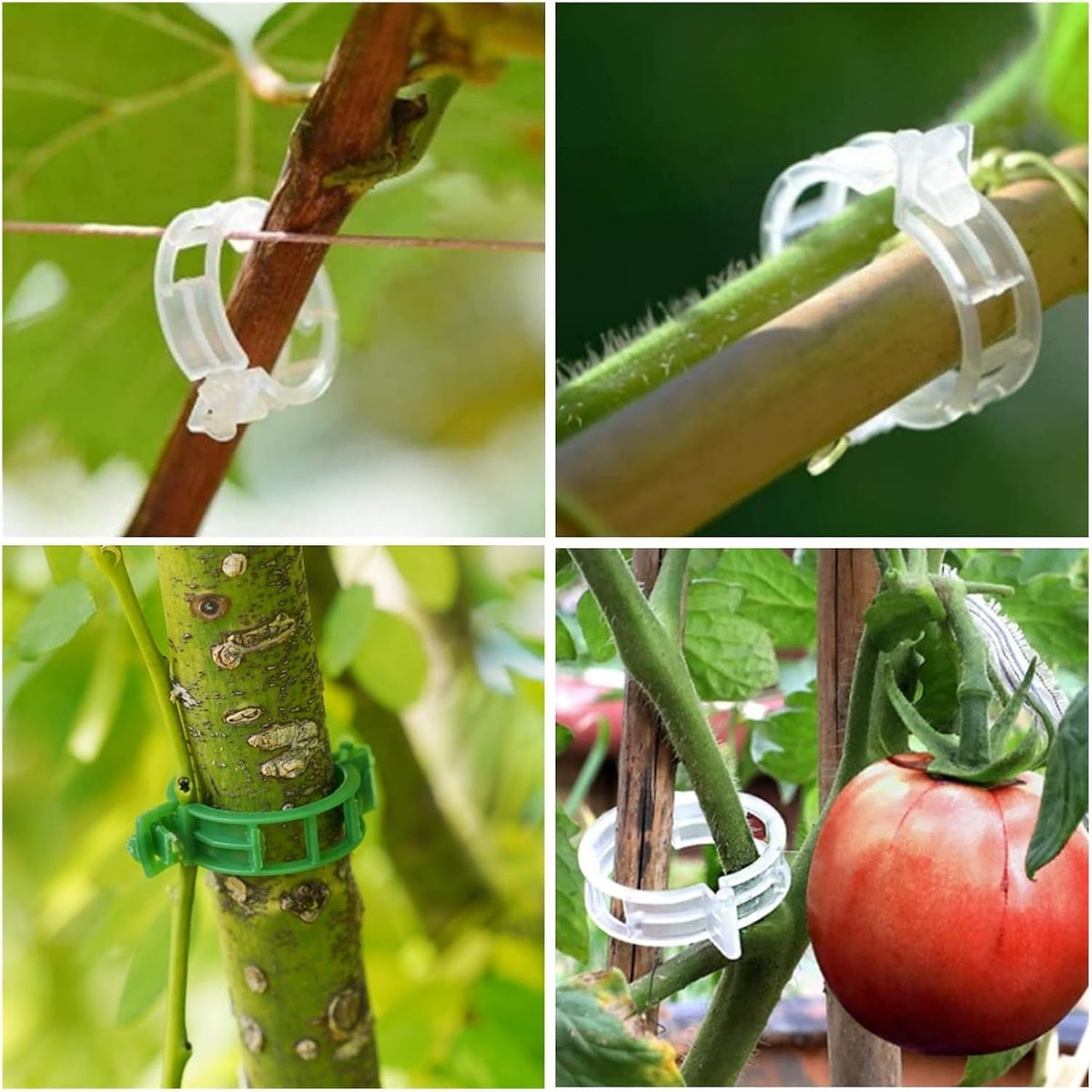 Reusable Plant Support Clips