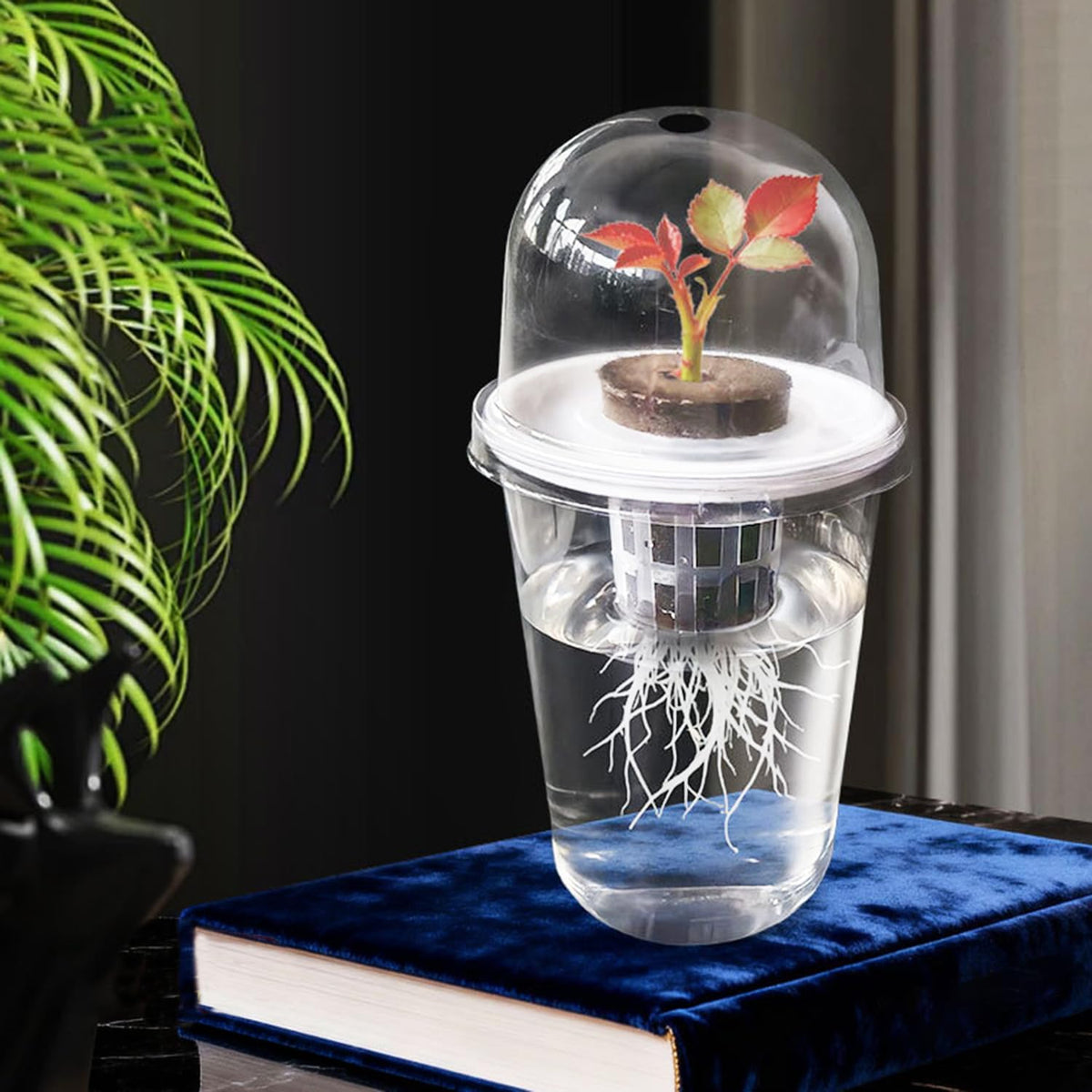 Hydroponic Seedling Pots, 20 Sets