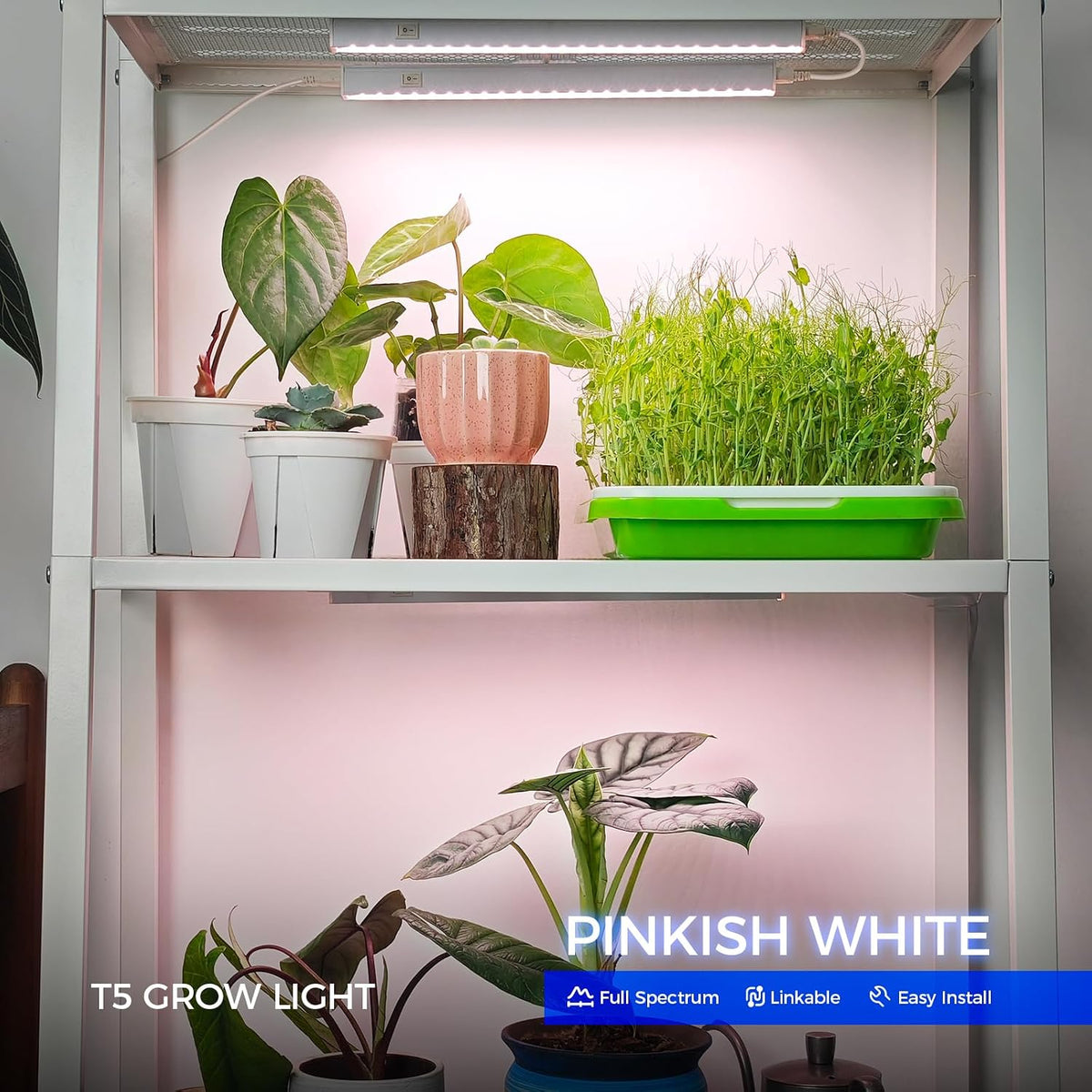 Barrina T5 Grow Lights, 1 ft, 6 Pack