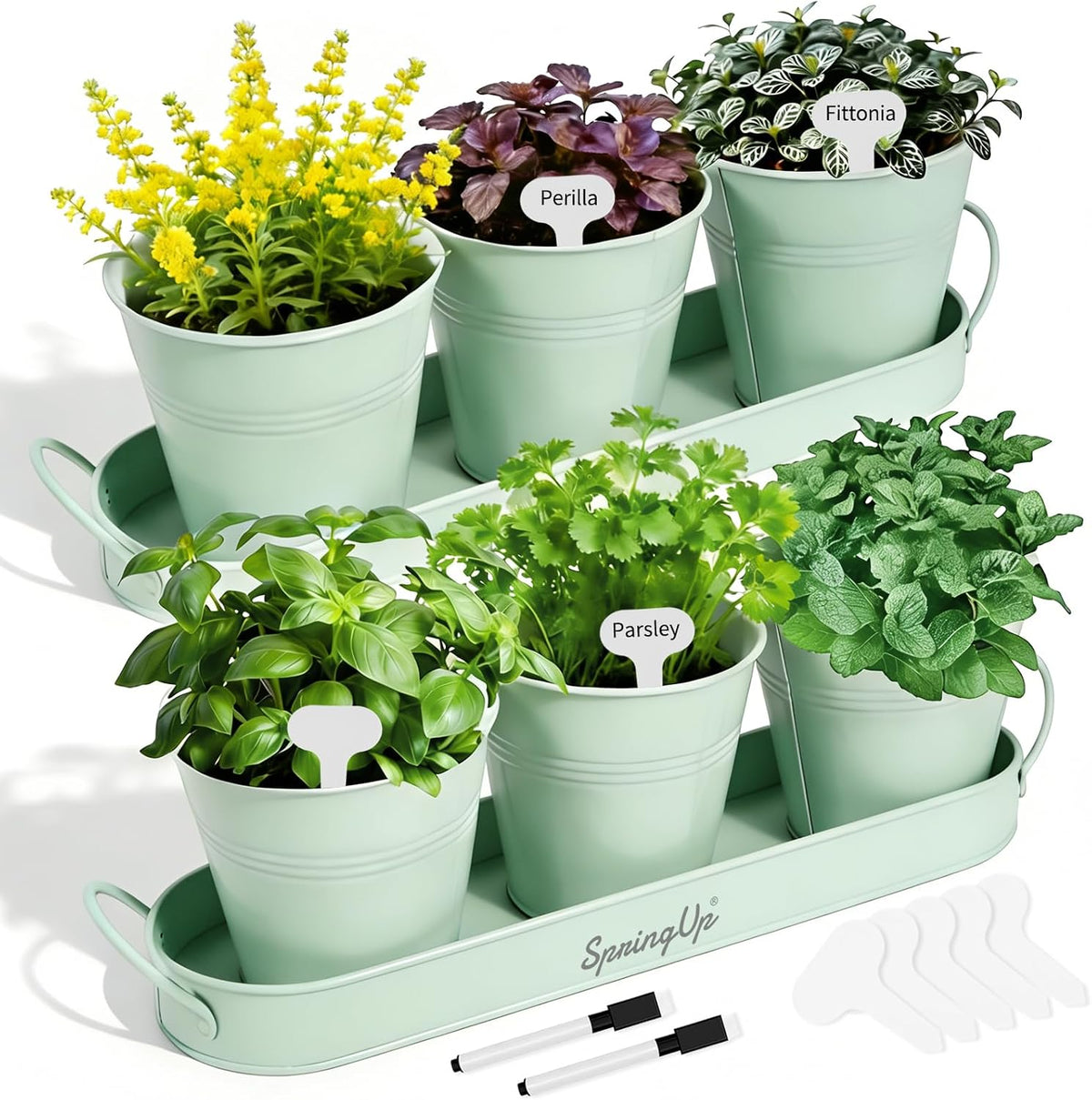 Indoor Herb Garden Planter Set, 3 Pack
