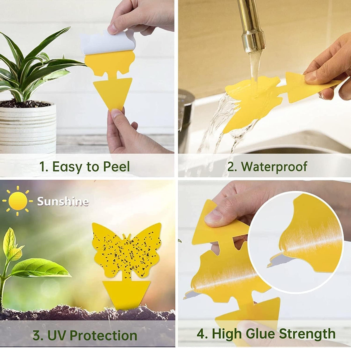 Aieve Yellow Sticky Insect Traps, 60 Pack