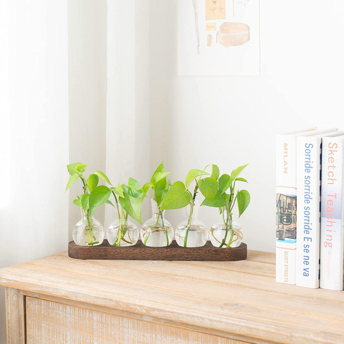 Desktop Propagation Station