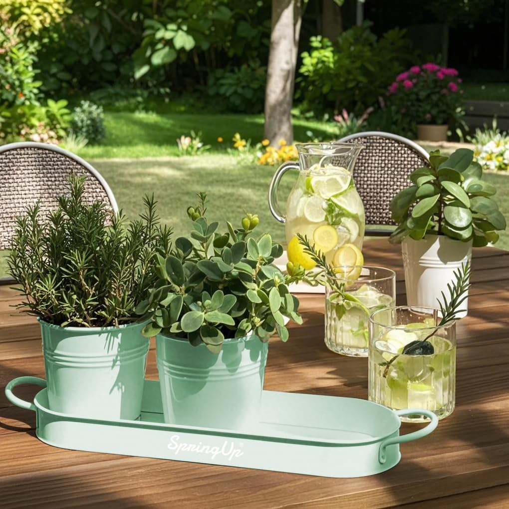 Indoor Herb Garden Planter Set, 3 Pack
