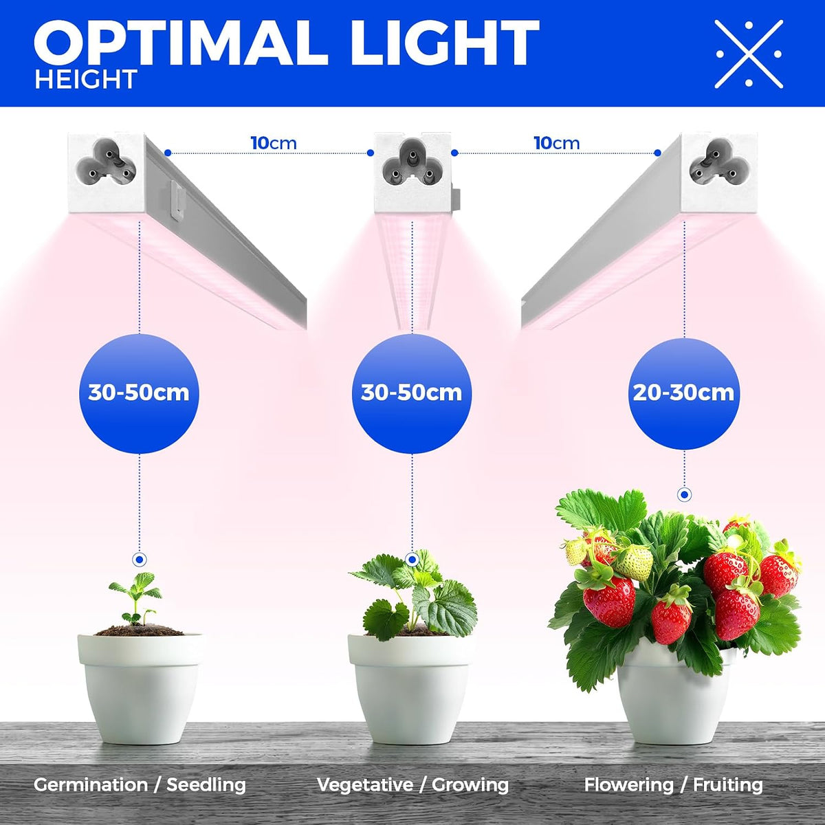 Barrina T5 Grow Lights, 1 ft, 6 Pack