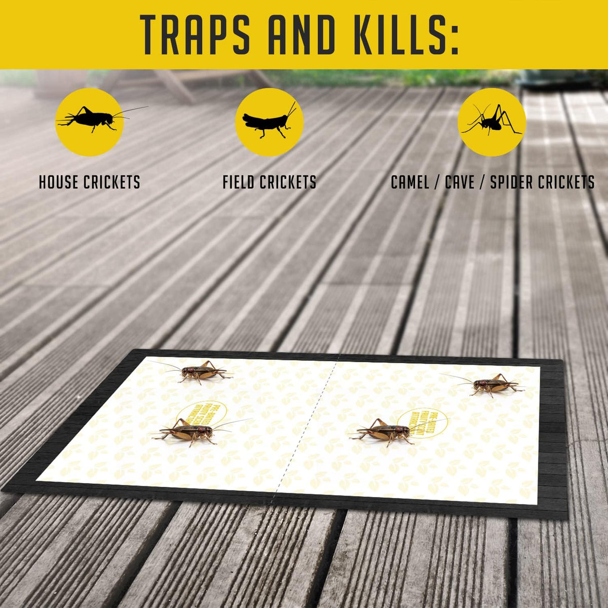 Trap a Pest Cricket Traps, 12 Pack