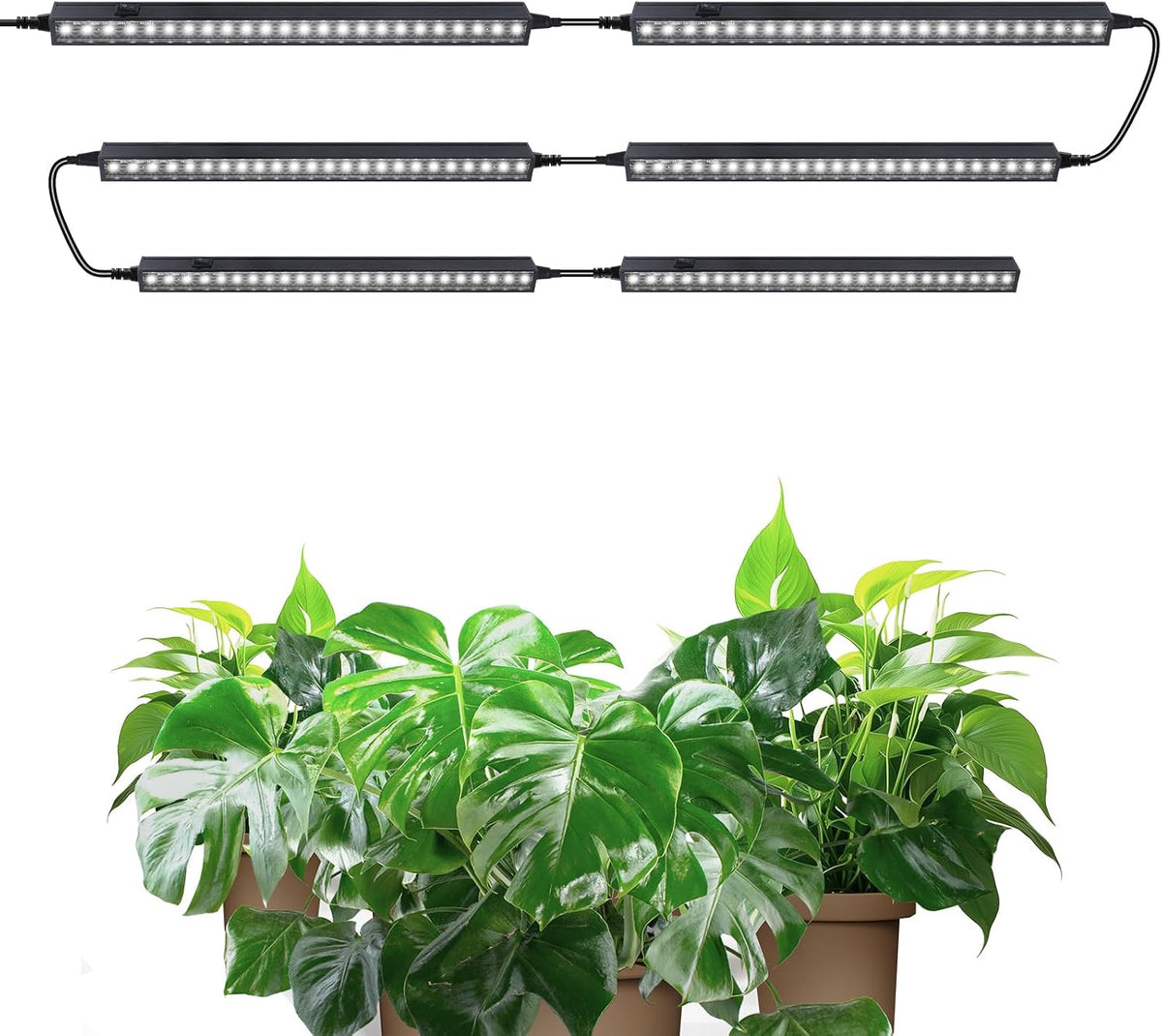 Barrina T5 Grow Lights, 2 ft, 6 Pack