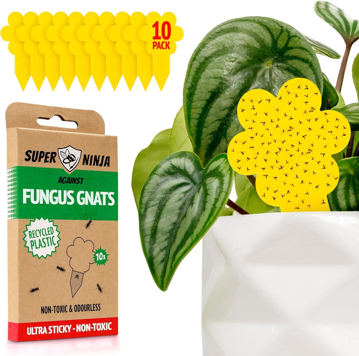 Super Ninja Fungus Gnat Traps, 10 Pack