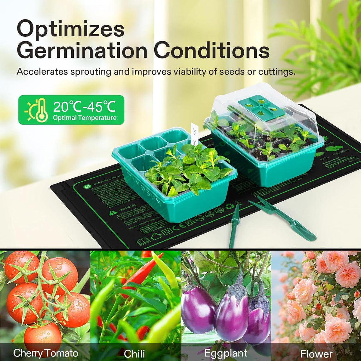 Seedling Heat Mat and Thermostat Combo, 25 x 50 cm