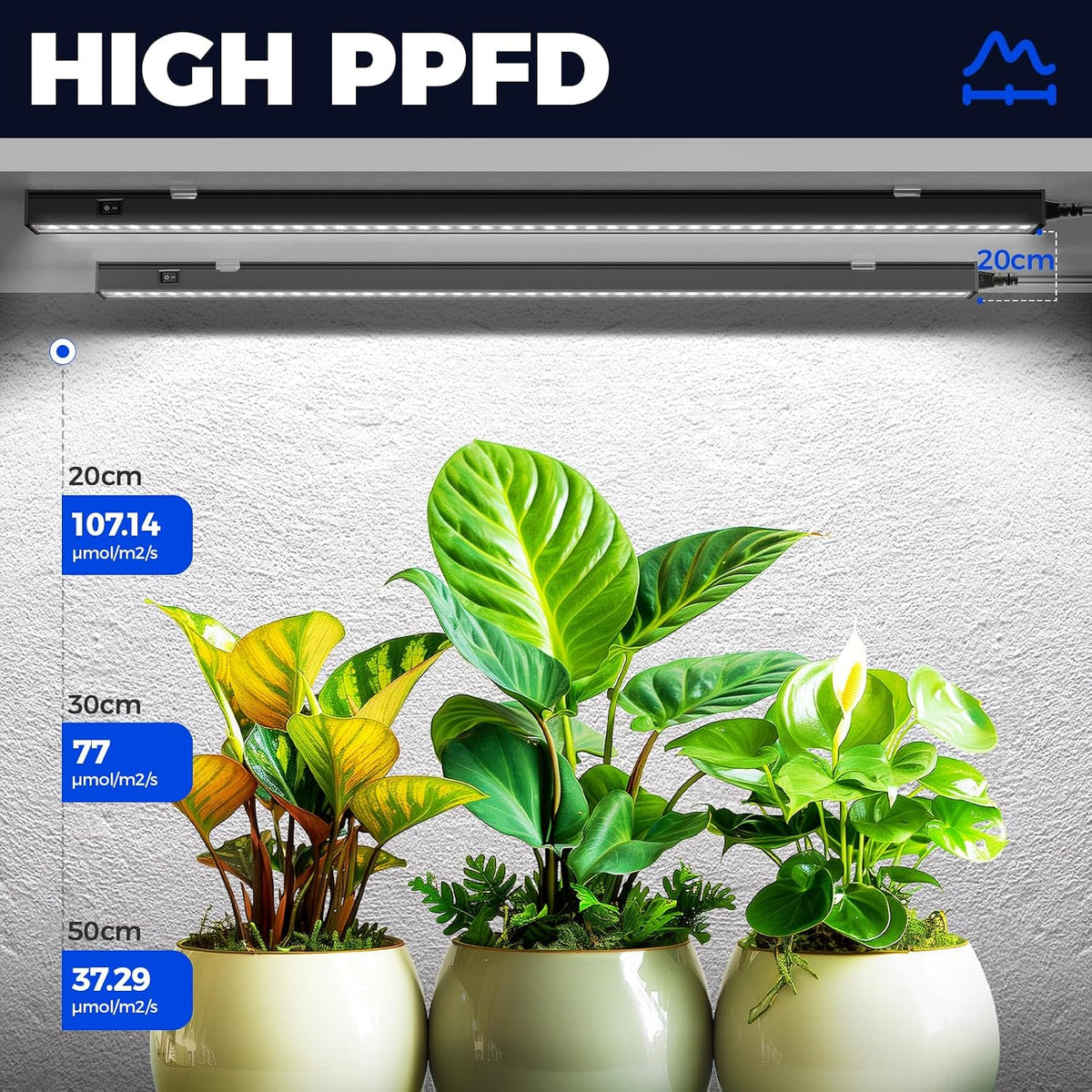 Barrina T5 Grow Lights, 2 ft, 6 Pack